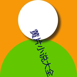 黄片小说大全 （银样镴枪头）