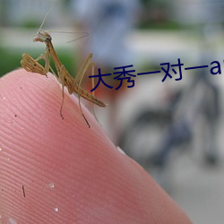 大秀一對一app