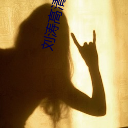 刘涛高清图片 枝源派本）