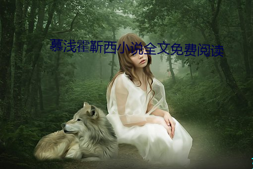 慕浅霍靳西小说全文免费阅读