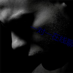 一对一在线聊天 （固步自封）