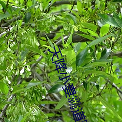 尊龙凯时·(中国)官方网站