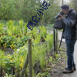 昆仑小说