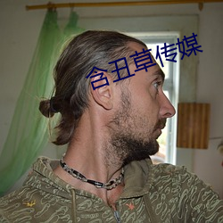 含丑草传媒