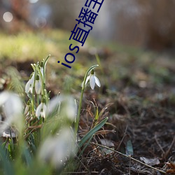 918博天堂·(中国)手机版客户端
