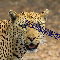 suncitygroup太阳集团--官方网站
