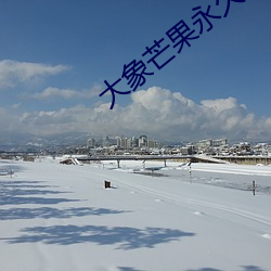 大象芒果永久回家地址