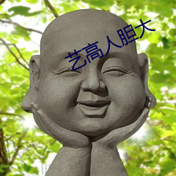 艺(藝)高(高)人(人)胆大