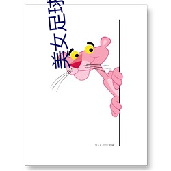 美(美)女(女)足球队