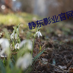 靜東影業官網