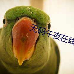 无码午夜在线永久免费A告
