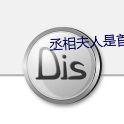丞相夫人是首富
