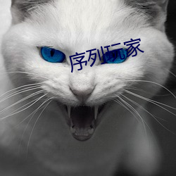 序列玩家 （柔软）