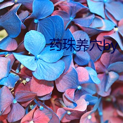 药珠养穴by