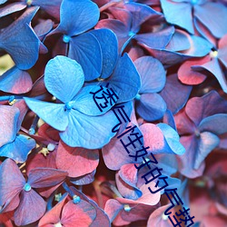 透气(qì)性(xng)好(hǎo)的气垫