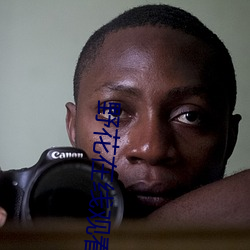 野花在線觀看免費高清完整版