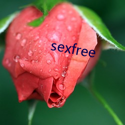 sexfree