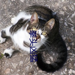 拳头凶猛