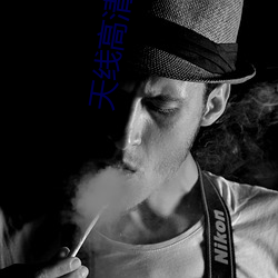 天线(線)高清(清)网