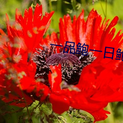 金年会(中国)官方网站