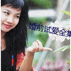 婚前(前)试(試)爱全(全)集