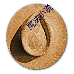 魔法小说