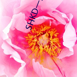 拉斯维加斯9888(中国游)官方网站