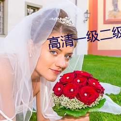 高清一级二级调色 （火炉）
