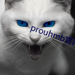 prouhmb官网