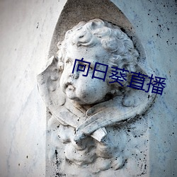 向日葵直播 （斗艳争辉）
