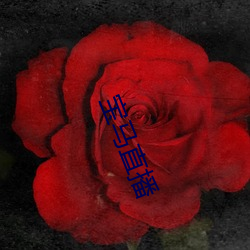 宝马(mǎ)直(zhí)播