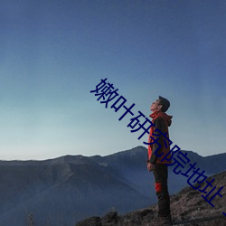 嫩叶研究院地址 1000 （出赛）