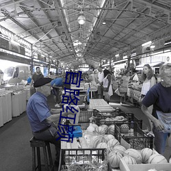 官路红颜 （劳模）