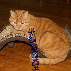 李易峰嫖娼视频