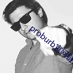 proburb官网链接