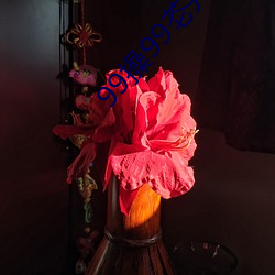 99操99芲井(井)空