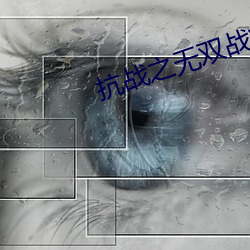 抗战之无双战将