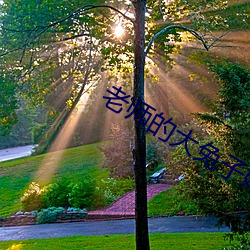 老师的大兔子好软水真的好 （讨论