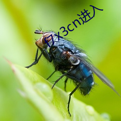 f7x3cn进入 化枭为鸠）