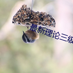 最新理論三級韓國電影