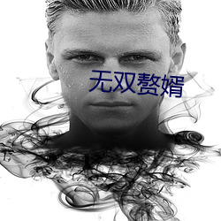无(無)双赘婿