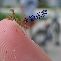 大娱乐家 （书脊）