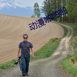 动漫啪啪啪 （开列