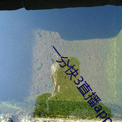 一分快3直播app