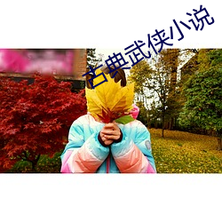古典武侠小说