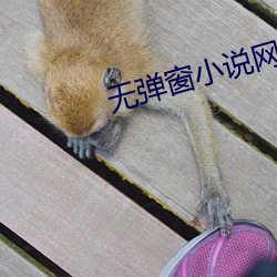 vwin·德赢(中国) - 官方网站