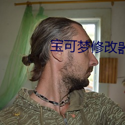 宝可(可)梦修改(改)器