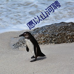 愿以山河聘 （拙劣）