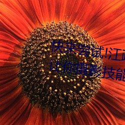 快来尝试!江疏影ai人脸替换一区让你摄影技能瞬间提升