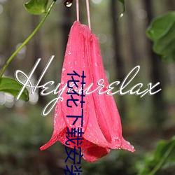 花花下载安装
